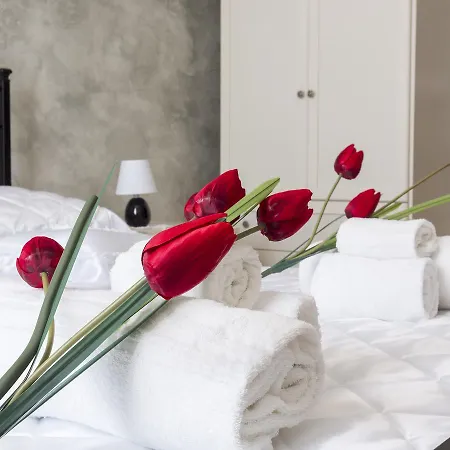 Napoleone Holiday Apartment